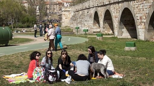 Cinco lugares ideales para pasear con tu mascota en Castilla y León