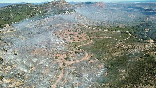 Extinguido el incendio forestal en Sierra Calderona