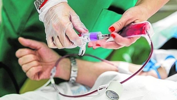 Una enfermera realiza una extracción en un maratón de donación de sangre de un hospital de la Comunidad