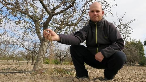 Ginés Pascual, agricultores que riega con agua del trasvase Tajo-Segura.