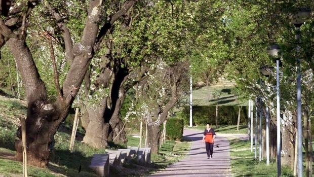 Tras el cálido invierno, la primavera traerá temperaturas más altas de lo normal