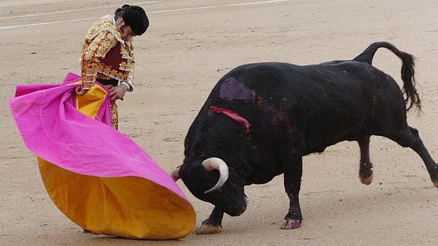 Coslada someterá a consulta popular la celebración de festejos taurinos