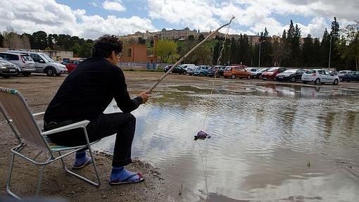 El bañista valiente revoluciona internet