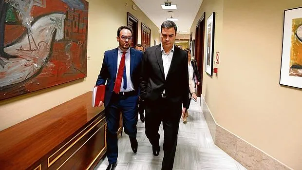 Antonio Hernando y Pedro Sánchez se dirigen ayer a la reunión con el Grupo Socialista en el Congreso