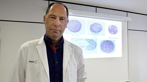 El doctor Ángel Moral, presidente del Comité de Aerobiología de la Sociedad Española de Alergia