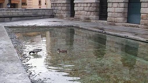 La fuente de Cristina Iglesias