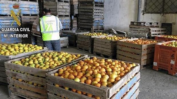 Imagen de archivo de un cargamento de fruta robada confiscado por la Guardia Civil