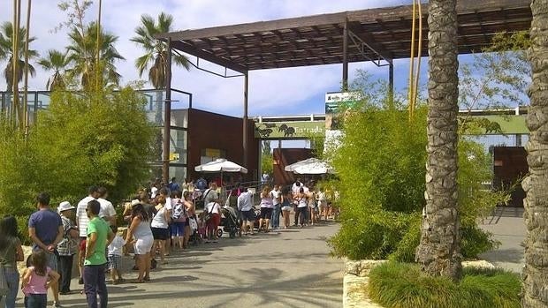Bioparc celebrará un «desfile» de perros abandonados para encontrarles nuevos dueños