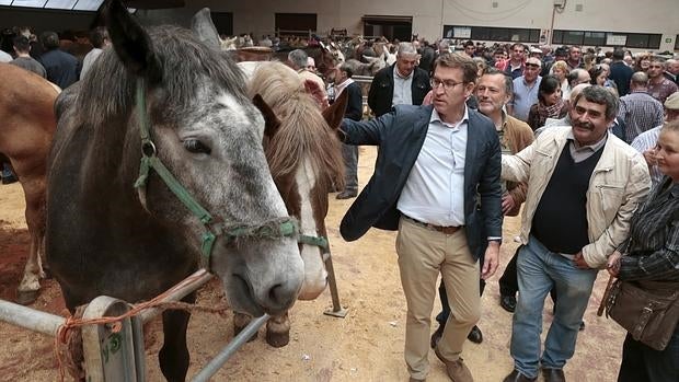 Alberto Núñez Feijóo en la Feira Cabalar de Santiago