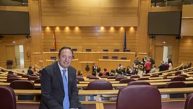 El vicepresidente del Senado y expresidente de La Rioja, Pedro Sanz