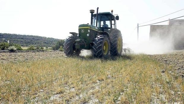 Un tractor comienza arando uno de los campos de cultivo