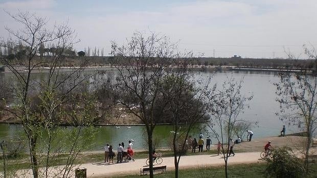 Imagen del lago que acoge el parque forestal de Polvoranca, en Leganés