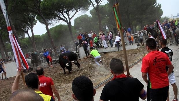 Los orígenes del Torneo de la Vega se remontan a la Edad Media