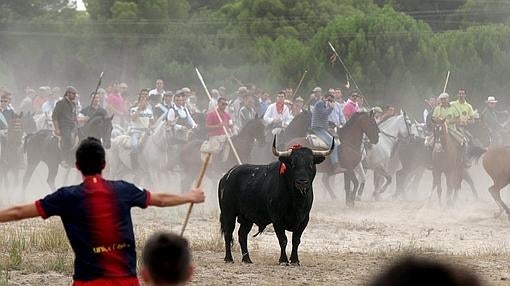 El Toro de la Vega es protagonista en portadas internacionales año tras año