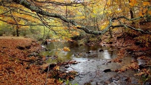 Cinco lugares de Madrid para pasar el fin de semana en el campo