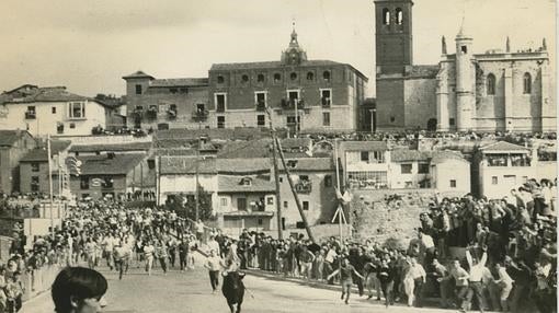 Toro de la Vega: Una «muerte» lenta, pero previsible