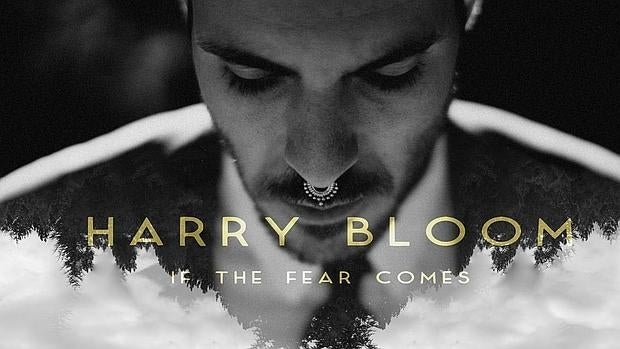 El viaje personal de Harry Bloom