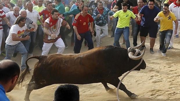 Pitarroso, el Toro Enmaromado de Benavente de este año