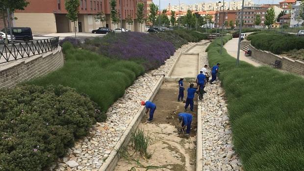 Los trabajadores durante la limpieza de la lámina