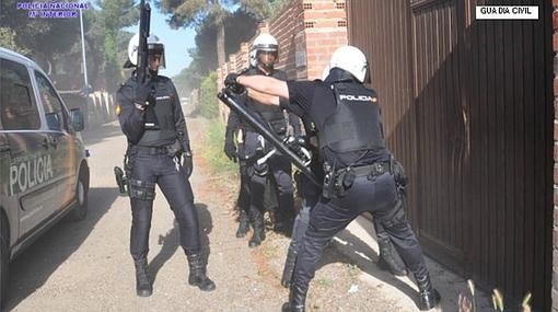 Operación de la Policía y la Guardia Civil para desmantelar la plantación