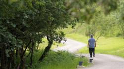 Santiago acaba de estrenar 7.030 árboles en el «Bosque de Galicia»