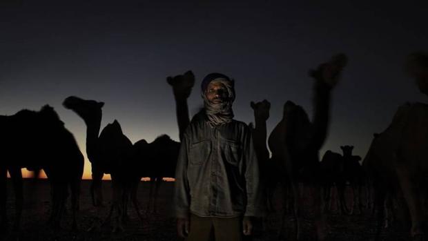 Camellero en el desierto, cerca de los campamentos de refugiados