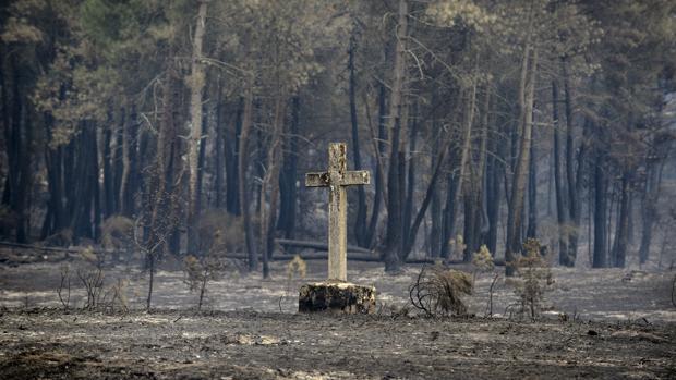 La Policía Autonómica investiga al presunto responsable de 27 incendios en Lalín (Pontevedra)