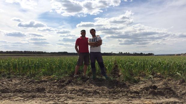 José María y Albano Sastre, dos cultivadores de ecológico en Campo de Cuéllar, Segovia