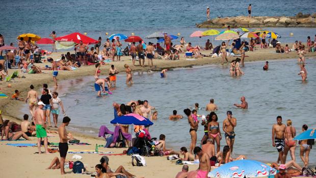 Imagen tomada este domingo en la playa del Postiguet de Alicante