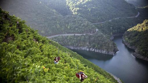 La Ribeira Sacra es uno de los parajes naturales que más adeptos va ganando