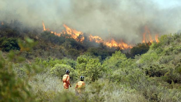 El fuego obliga a evacuar urbanizaciones, un hospital y un colegio