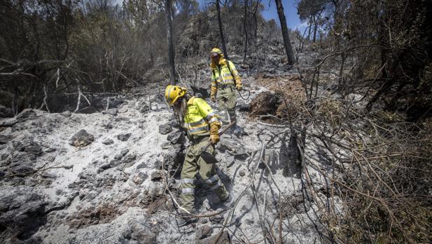 Imagen de los efectos del incendio de Carcaixent