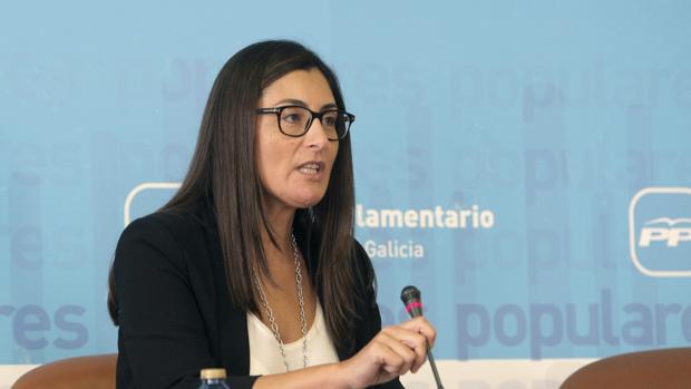 La iniciativa partió de las familias numerosas