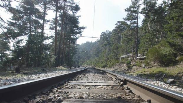 Vuelve el mejor recorrido en tren para disfrutar de la naturaleza