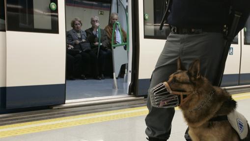 Uno de los perros de seguridad, en el andén del metro