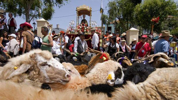 San Benito, La Laguna, de las romerías más importante de España