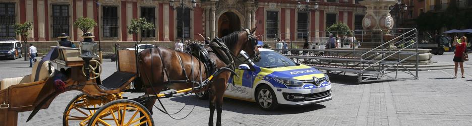 La Plaza de la Virgen de los Reyes en Sevilla, que se quedó sin ver a Obama