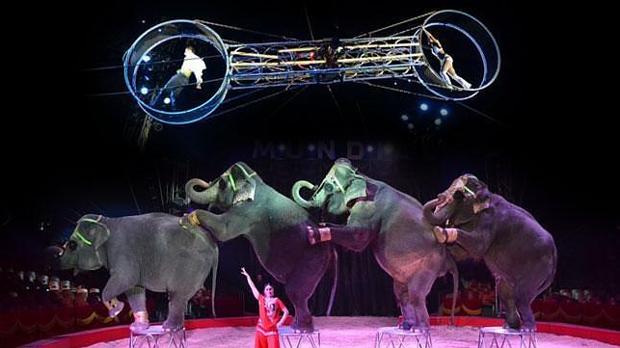 Espectáculo con animales en un circo de Madrid