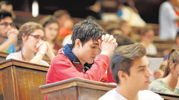 Medicina, la carrera más demandada entre los estudiantes del distrito único de Madrid