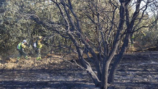 Desciende el peligro en el incendio del Valle del Tera (Zamora)