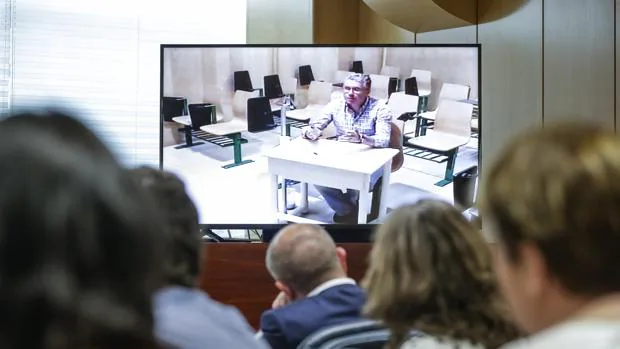 Granados comparece por videoconferencia ante la comisión de investigación de la Asamblea de Madrid