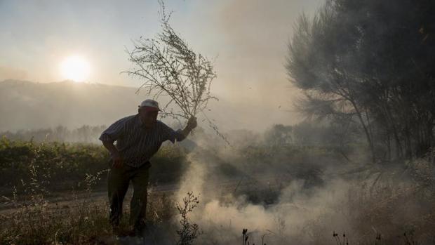 Un vecino del pueblo de O Rosal (Oímbra), hacia donde ha avanzado el fuego, intenta apagar el fuego