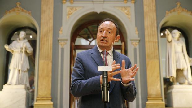 El vicepresidente primero del Senado, Pedro Sanz, durante la rueda de prensa