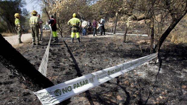 Imagen de los técnicos de Medio Ambiente y SEPRONA en el incendio de Artana