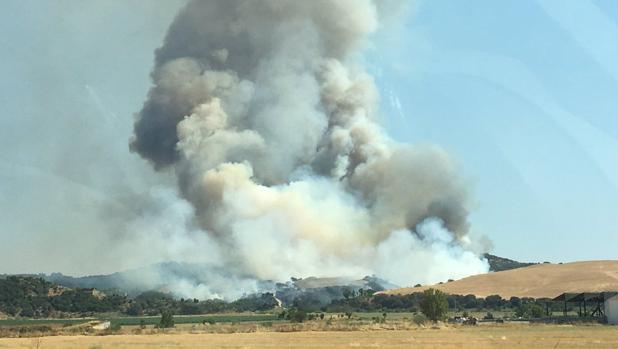 Incendio forestal en las afueras de Talavera