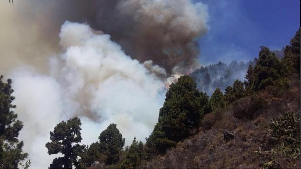 Fuego declarado en el paraje del Cerro Negro en Talavera de la Reina