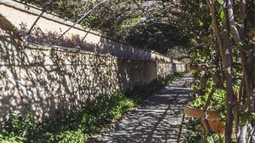 Imagen del túnel de la Bouganvillea situado al oeste del jardín