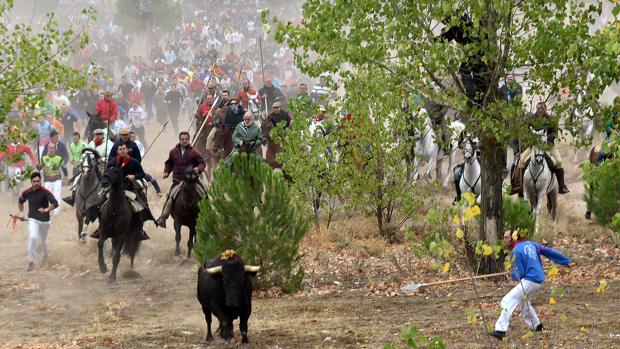 El pasado septiembre Tordesillas celebró la última edición del Toro de la Vega