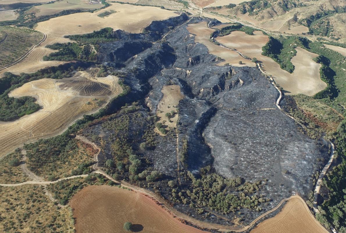 Imagen del terreno arrasado por las llamas