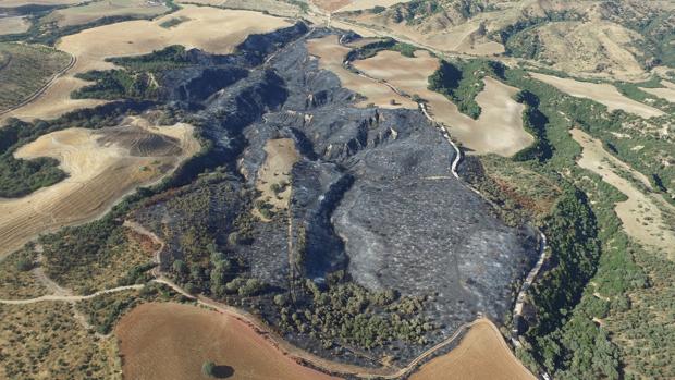 Un detenido en Talavera por un incendio forestal que arrasó 60 hectáreas